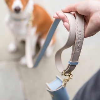 Cupertino Vegan Leather Dog Leash 4ft | Soft, Stylish & Comfortable
