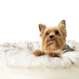 PupPouf™ Faux Fur Donut Dog Bed – White with Brown Accents