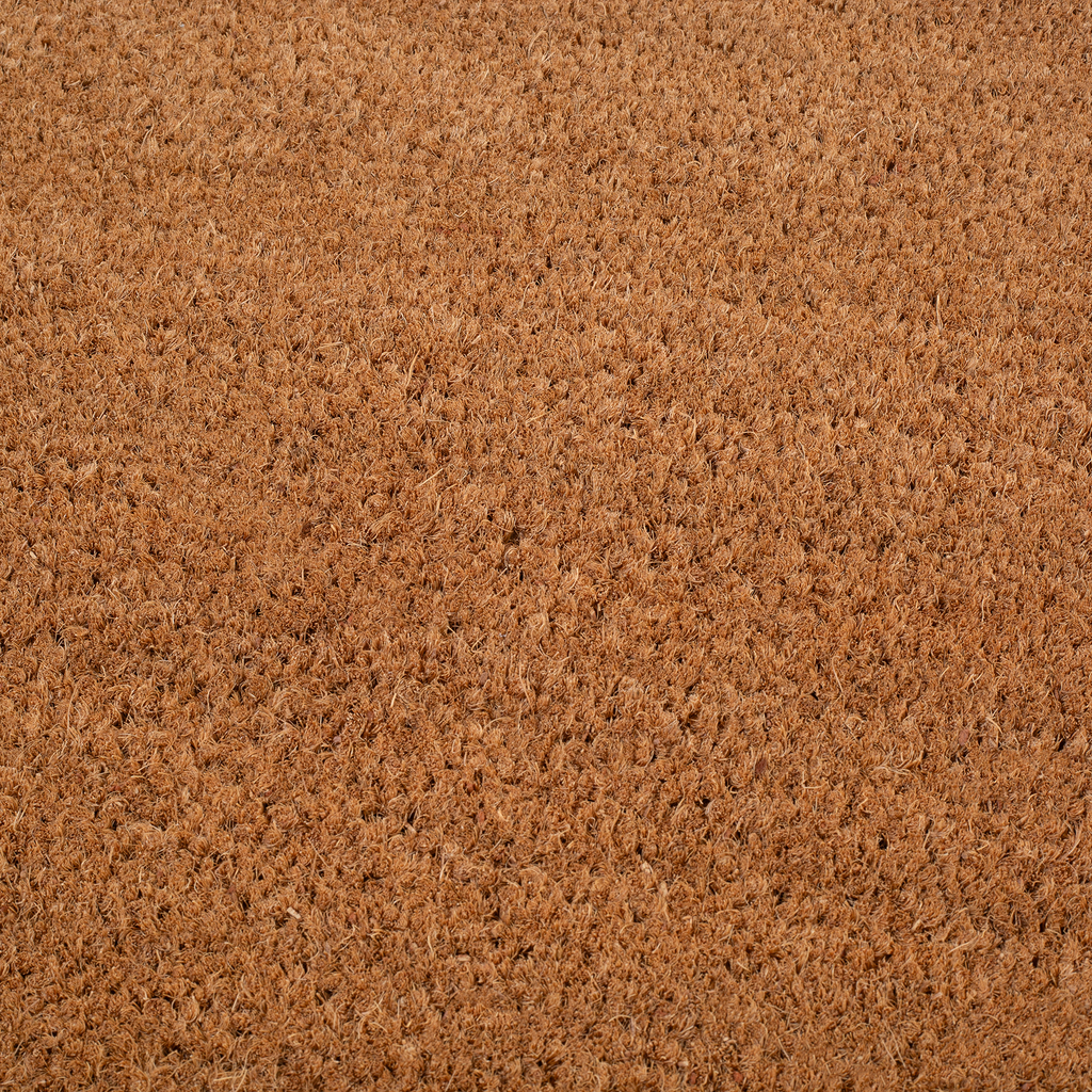 Double Black Border Natural Coir Doormat