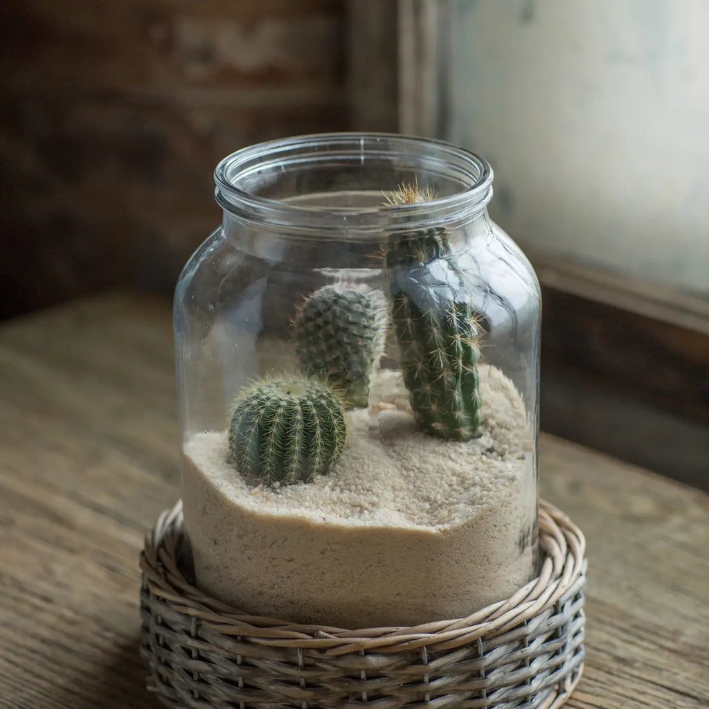 Clear Glass Terrarium Jar with Woven Wicker Base