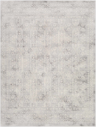 Michie Gray Area Rug – Contemporary Soft Living Room Carpet