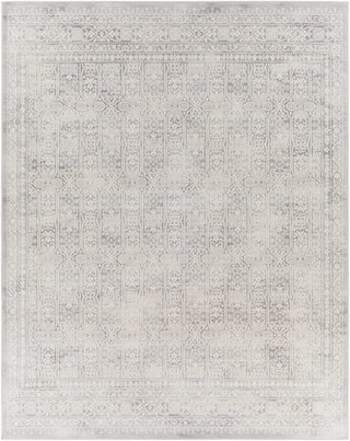 Michie Gray Area Rug – Contemporary Soft Living Room Carpet