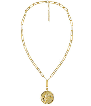 Horsehead Disc Charm Necklace - Paperclip Chain - 18k Gold Plated