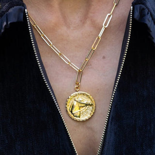 Horsehead Disc Charm Necklace - Paperclip Chain - 18k Gold Plated