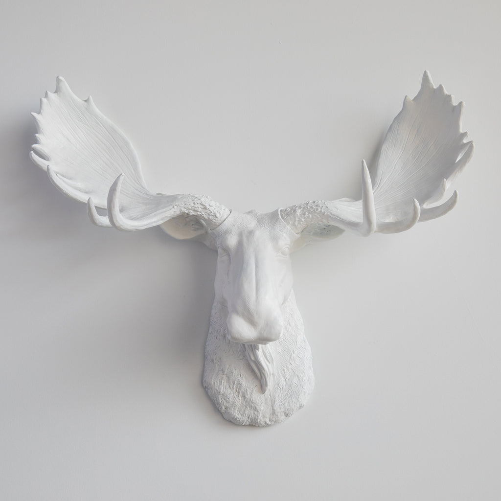 Sculpted Faux Moose Head Wall Decor