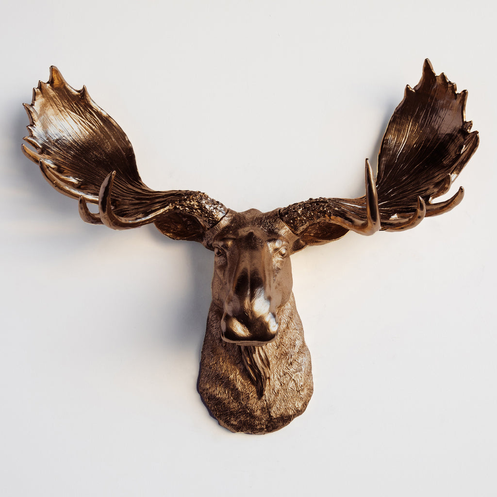 Sculpted Faux Moose Head Wall Decor
