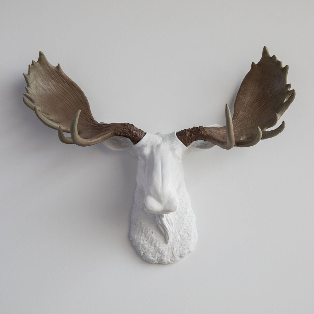 Sculpted Faux Moose Head Wall Decor