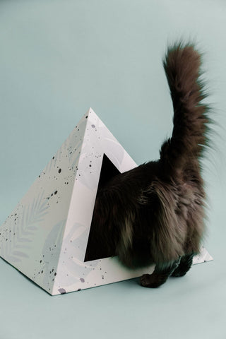Oasis Cardboard Cat Pyramid | Eco-Friendly Modern Cat Hideaway