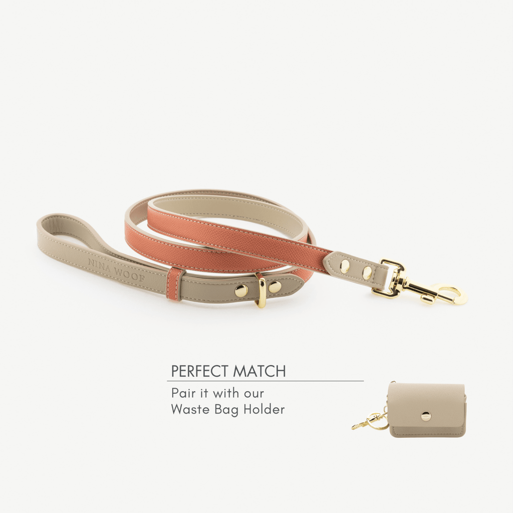 Vegan Leather Dog Leash 4ft | Premium Stylish Pet Lead