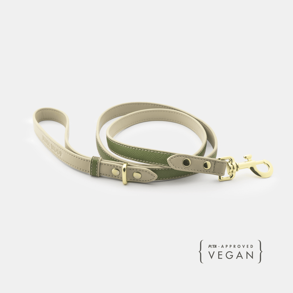 Vegan Leather Dog Leash 4ft | Premium Stylish Pet Lead
