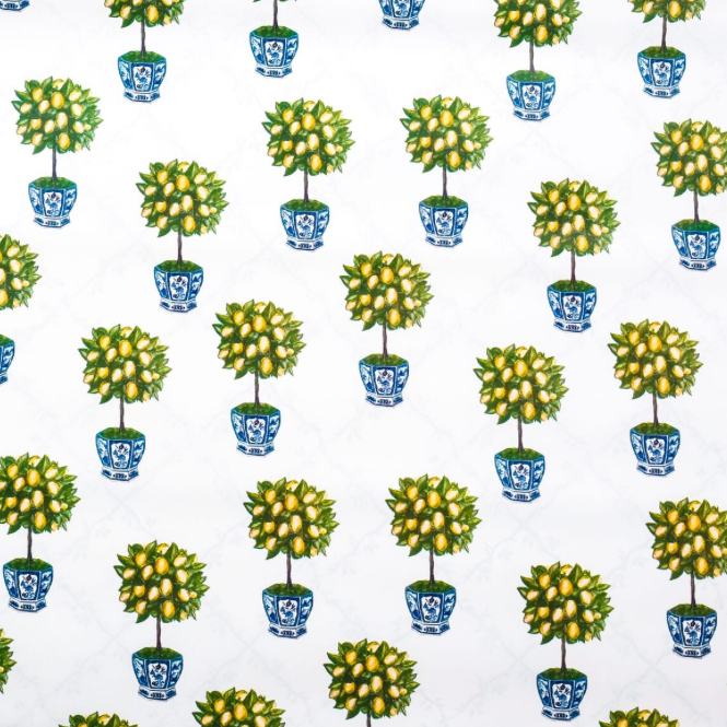 Reversible Lemon Topiary with Trellis Gift Wrap | Elegant Double-Sided Wrap
