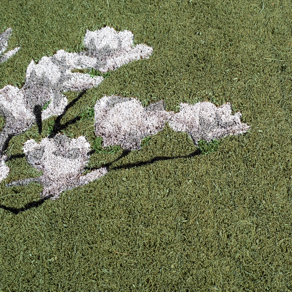 Magnolia Branch Green Floral Coir Doormat