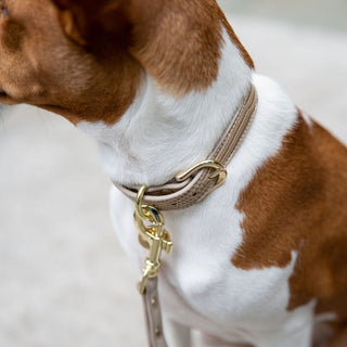Milan Vegan Leather Dog Collar | Luxury Croc-Style Designer Collar