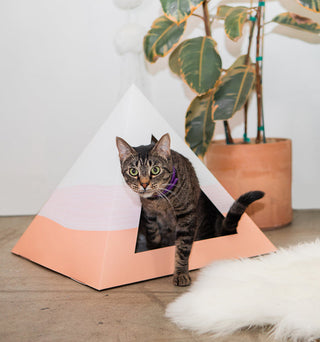 Wavey Cardboard Cat Pyramid | Modern Eco-Friendly Cat Hideaway
