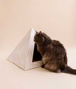 Neutral Palm Cardboard Cat Pyramid | Eco-Friendly Kitty Hideaway