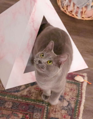 Rose Quartz Cardboard Cat Pyramid | Stylish Eco-Friendly Cat Hideaway