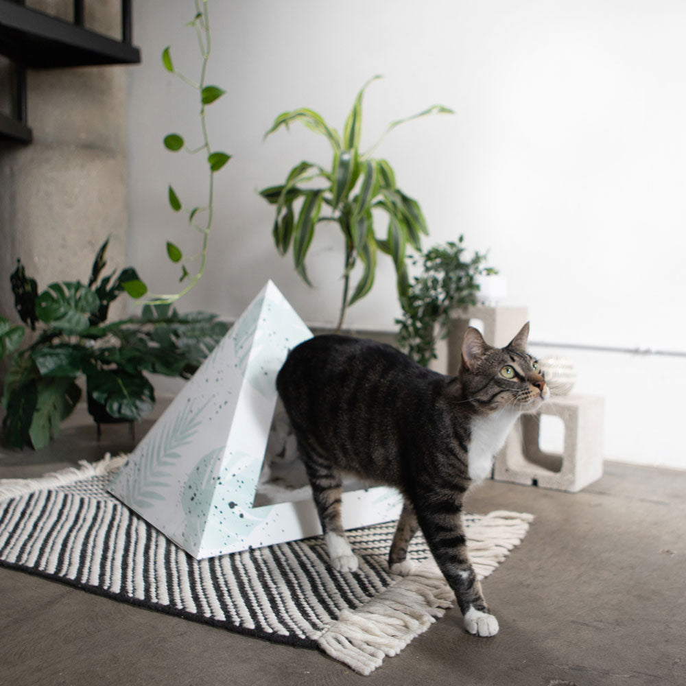 Oasis Cardboard Cat Pyramid | Eco-Friendly Modern Cat Hideaway