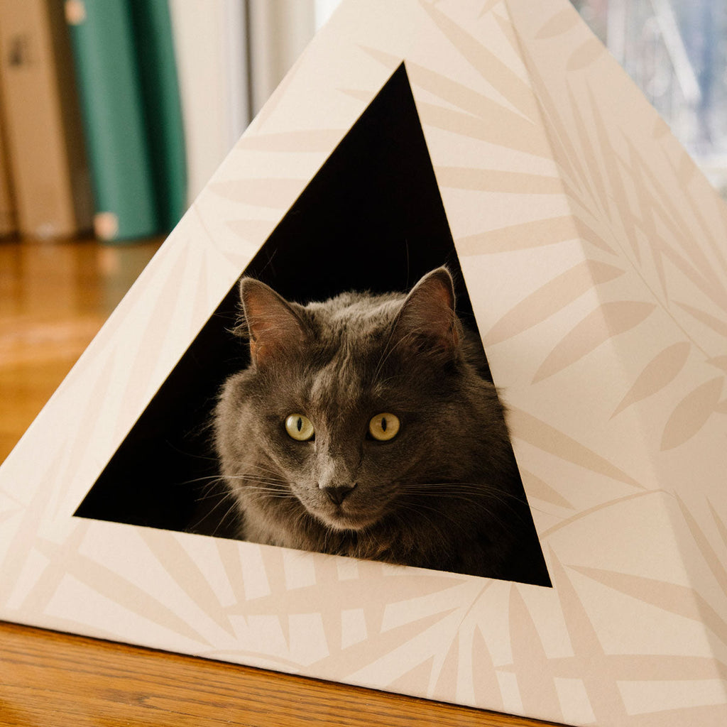 Neutral Palm Cardboard Cat Pyramid | Eco-Friendly Kitty Hideaway