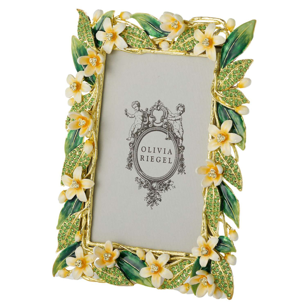 Hannah Picture Frame