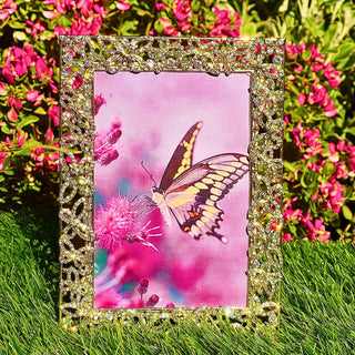 Papillon with Crystals 4