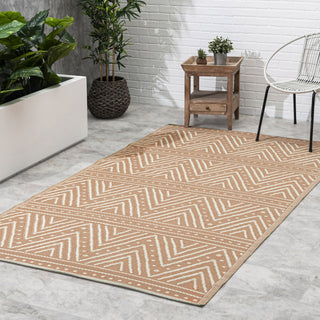Patan Coral Chevron Reversible Outdoor Patio Rug