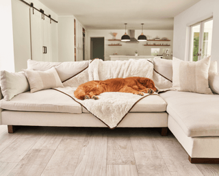 PupProtector™ Summer Short Fur Waterproof Throw Blanket – Polar White