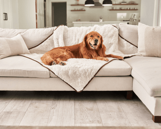 PupProtector™ Summer Short Fur Waterproof Throw Blanket – Polar White