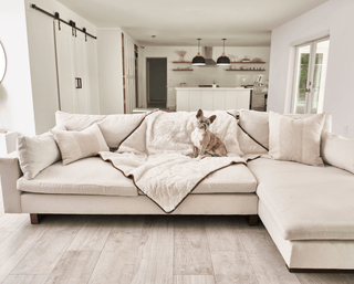PupProtector™ Summer Short Fur Waterproof Throw Blanket – Polar White