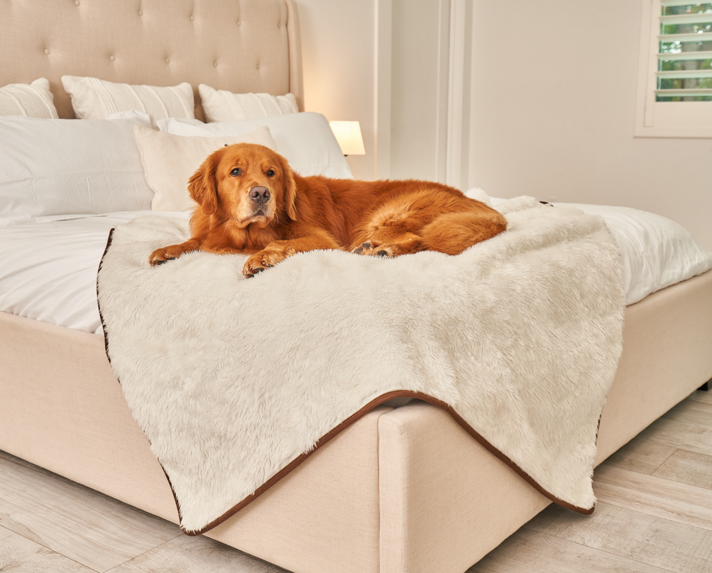 PupProtector™ Summer Short Fur Waterproof Throw Blanket – Polar White