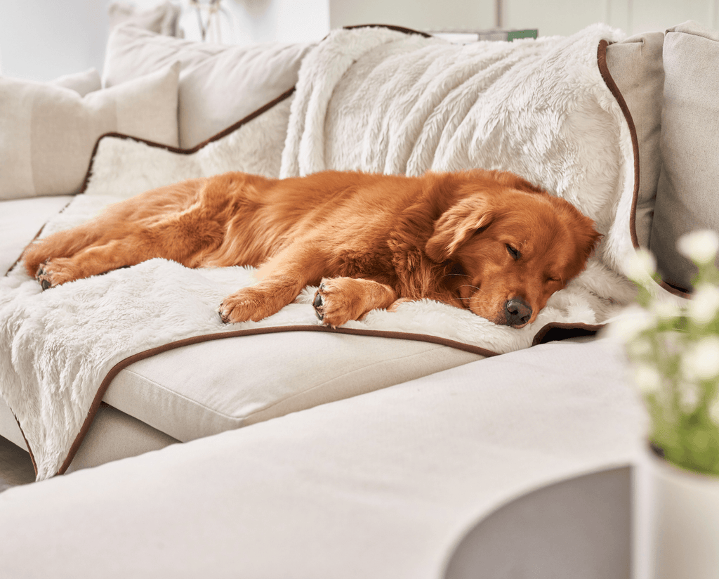 PupProtector™ Summer Short Fur Waterproof Throw Blanket – Polar White