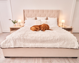 PupProtector™ Summer Short Fur Waterproof Throw Blanket – Polar White