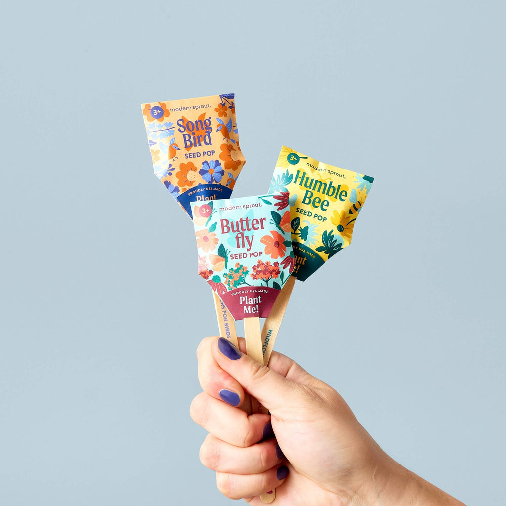 Pollinator Seed Pop (Single) - Anara Lifestyle