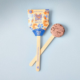 Pollinator Seed Pop (Single) - Anara Lifestyle