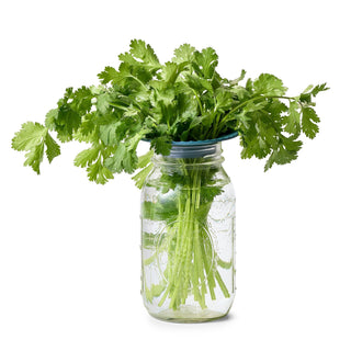 Produce Keepers - Set of 2 - Anara Lifestyle