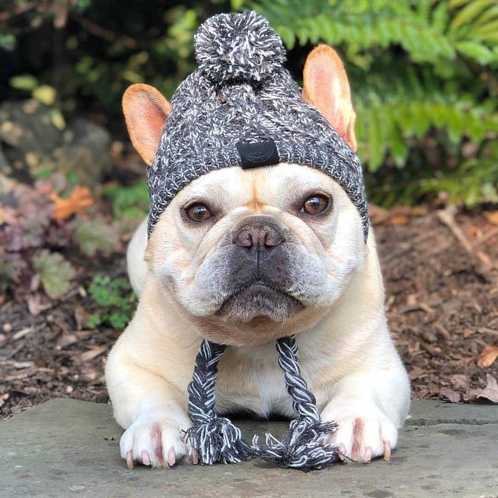 Winter Knitted Pet Hat – Cozy Fluffy Pom Pom Dog & Cat Beanie