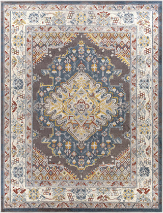 Haymond Brown Medallion Area Rug – Traditional Patterned Living Room Carpet