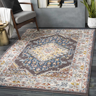 Haymond Brown Medallion Area Rug – Traditional Patterned Living Room Carpet