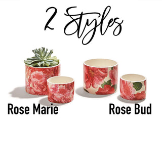 Rose Floral Ceramic Cachepots – Rose Marie & Rose Bud Styles