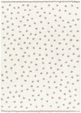 Chaia Dotted Cream Gray Plush Rug – Soft Modern Living Room Rug