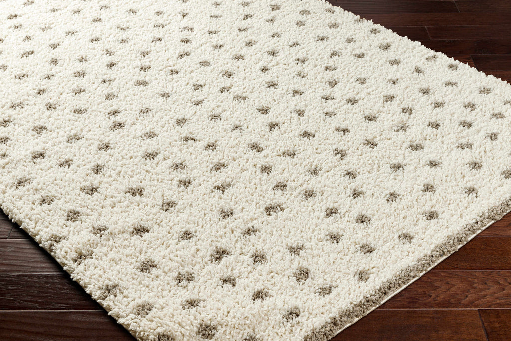 Chaia Dotted Cream Gray Plush Rug – Soft Modern Living Room Rug