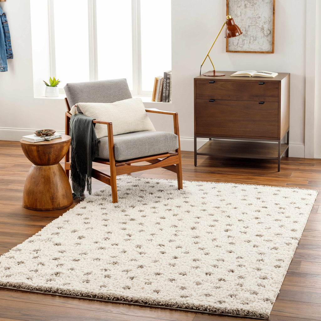 Chaia Dotted Cream Gray Plush Rug – Soft Modern Living Room Rug