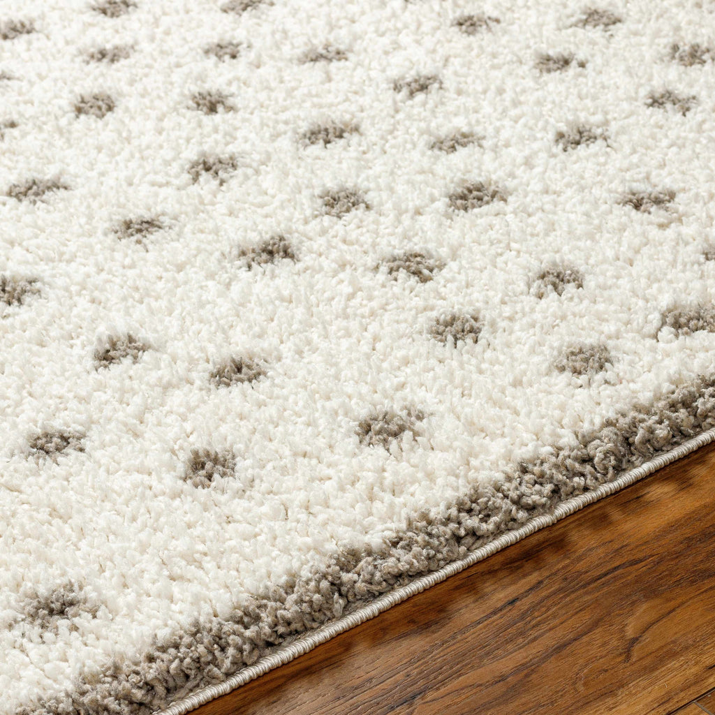 Chaia Dotted Cream Gray Plush Rug – Soft Modern Living Room Rug