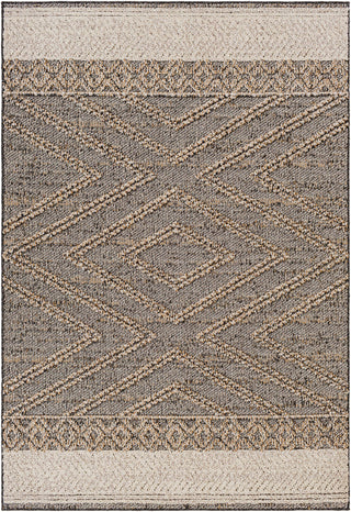 Beige Charcoal Areli Area Rug