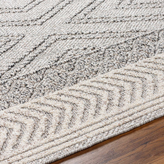 Beige Gray Areli Area Rug – Modern Neutral Washable Floor Carpet