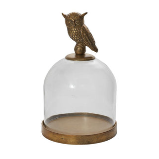 STRIX OWL COLLECTION - Anara Lifestyle