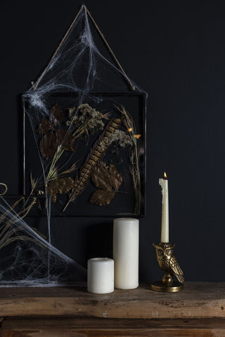 STRIX OWL COLLECTION - Anara Lifestyle