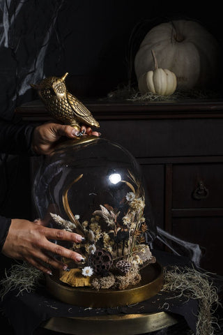 STRIX OWL COLLECTION - Anara Lifestyle