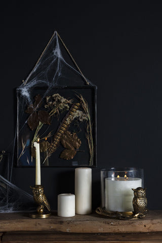 STRIX OWL COLLECTION - Anara Lifestyle