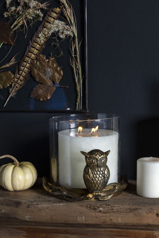 STRIX OWL COLLECTION - Anara Lifestyle