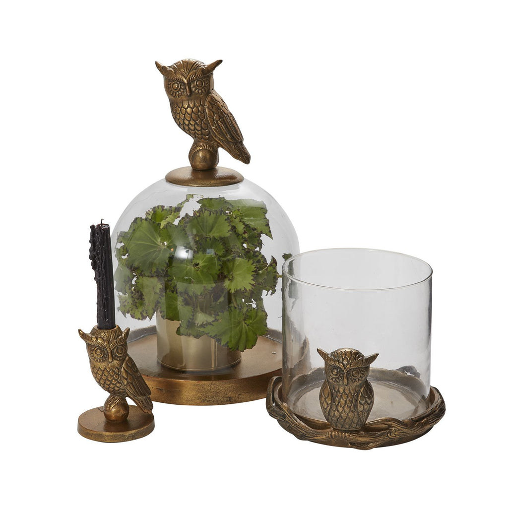 STRIX OWL COLLECTION